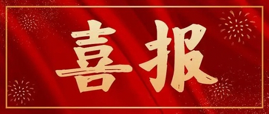 喜报！瑞铁机床荣膺“2024年中国钣金与制作行业十大事件”殊荣